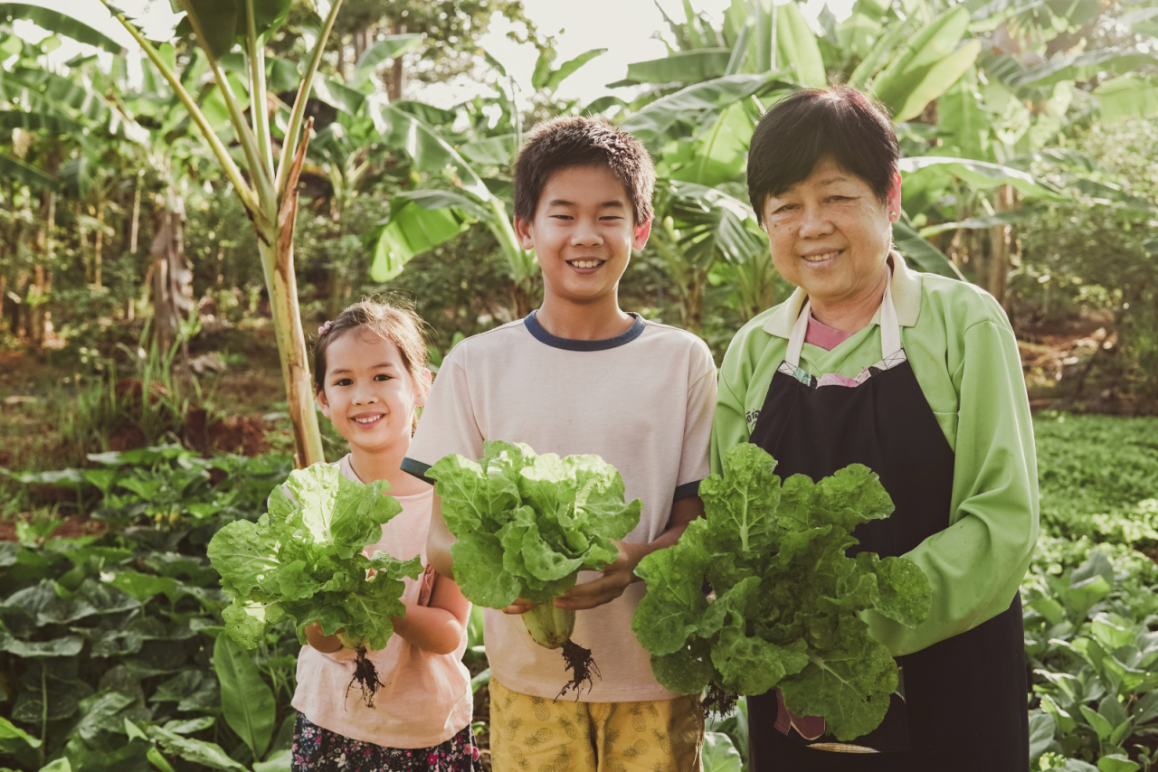 National inclusion accounts: a tool to promote intergenerational equity