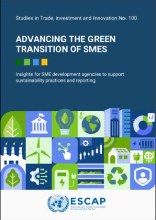 Advancing the green transition of SMEs : insights for SME development agencies to support sustainability practices and reporting
