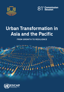 Urban transformation in Asia and the Pacific: from growth to resilience