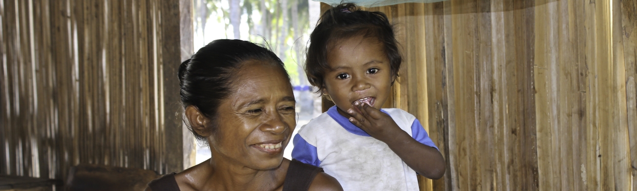 Timor-Leste banner